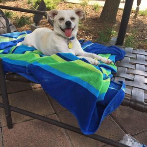 Meet your Posher, Aaron